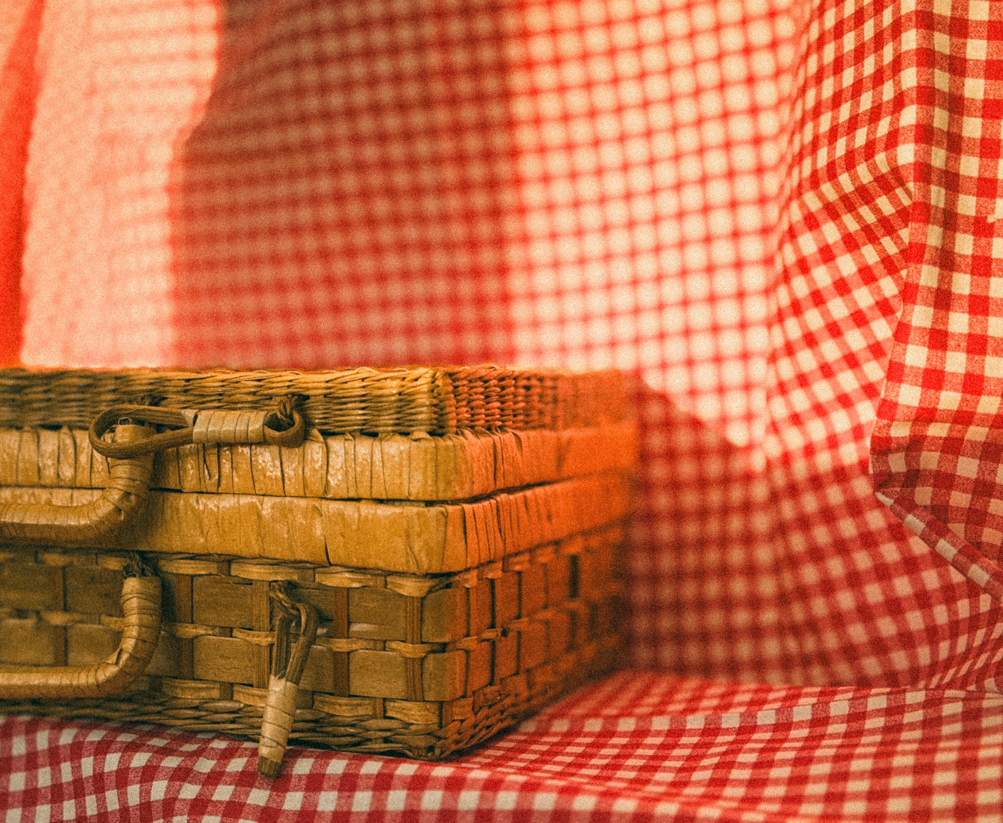 Vasos & Decoração Exterior