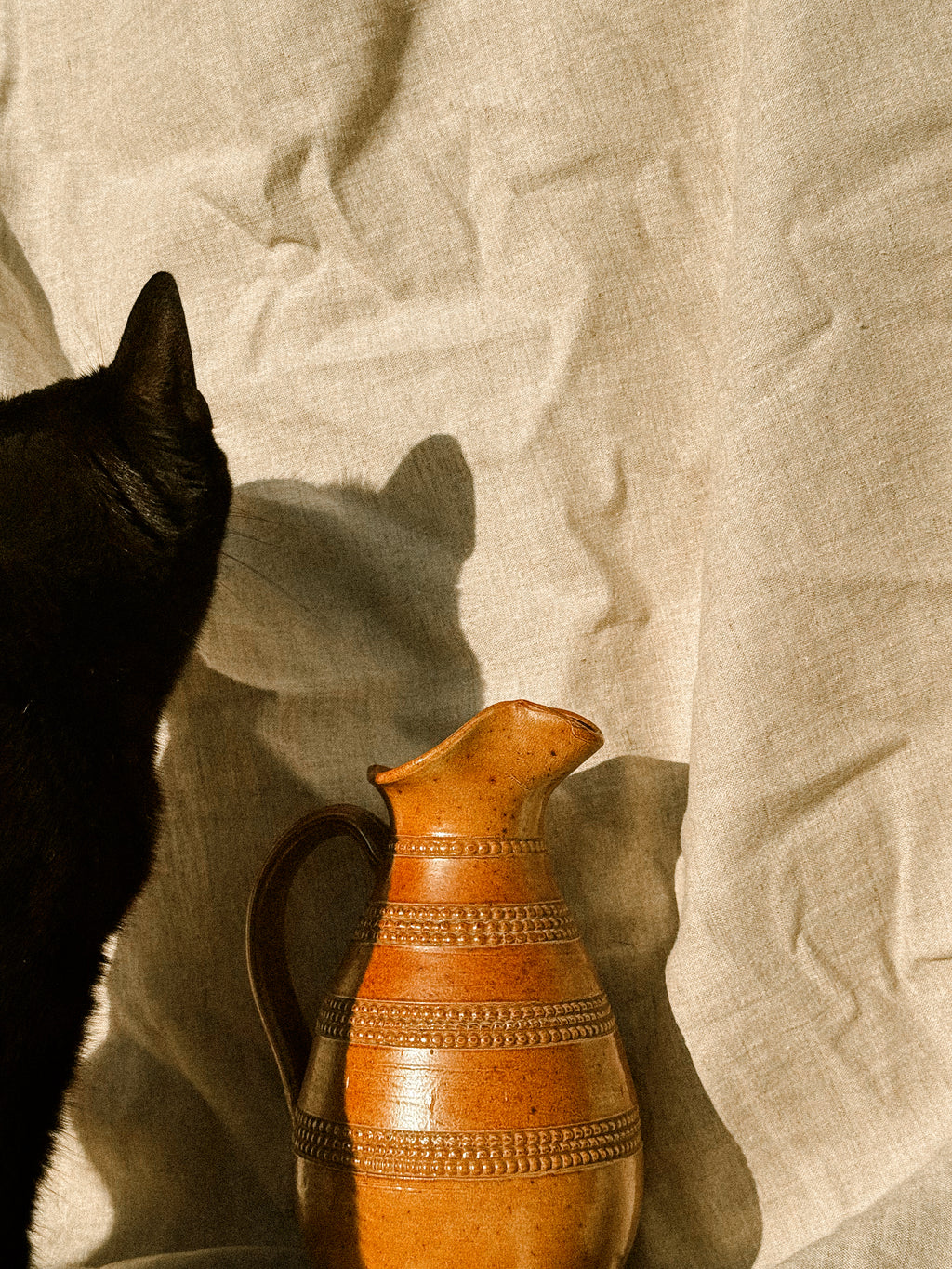 HN019 | Stoneware Jug from Berry, France