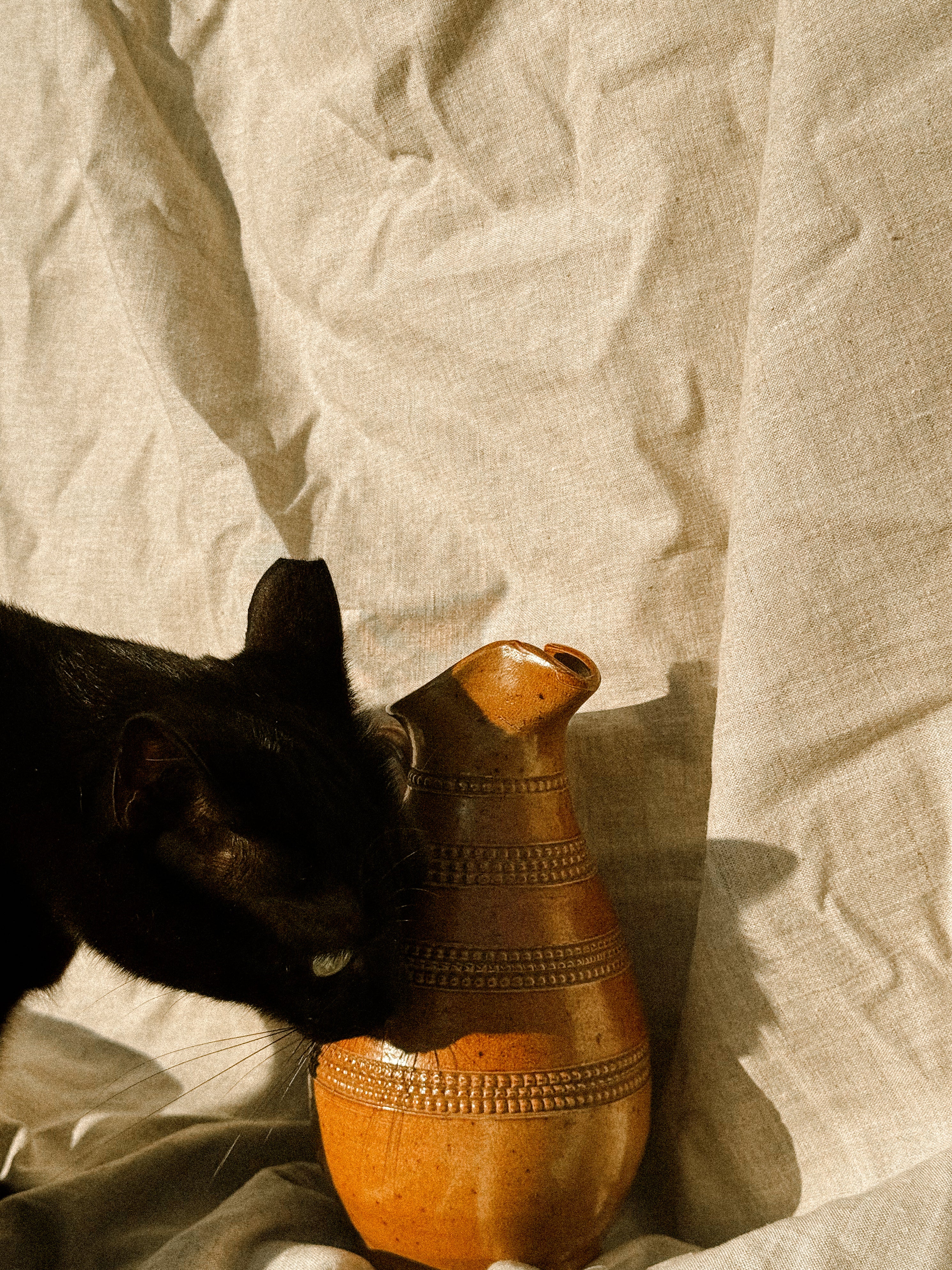 HN019 | Stoneware Jug from Berry, France