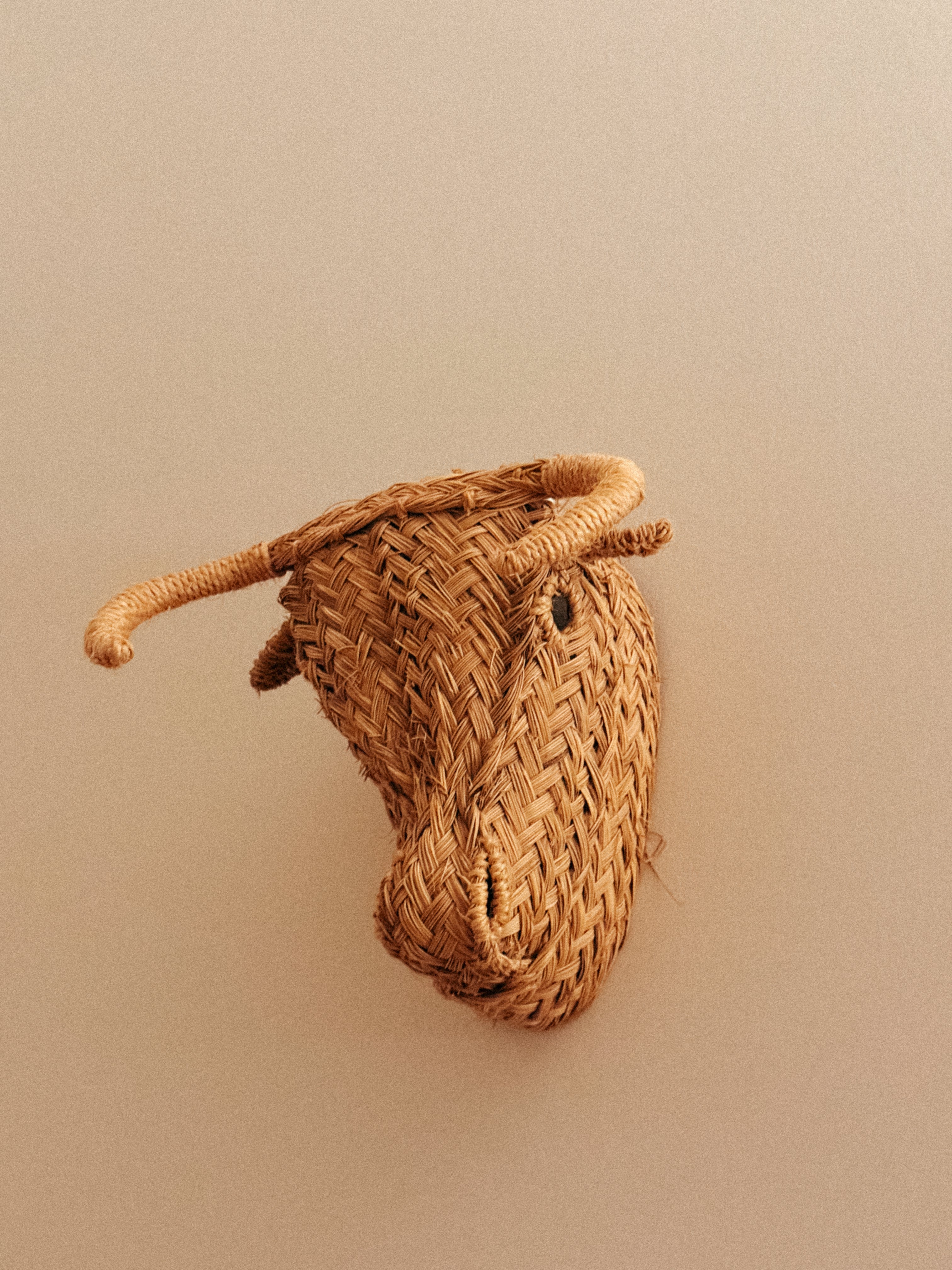 Cabeça de Touro em verga