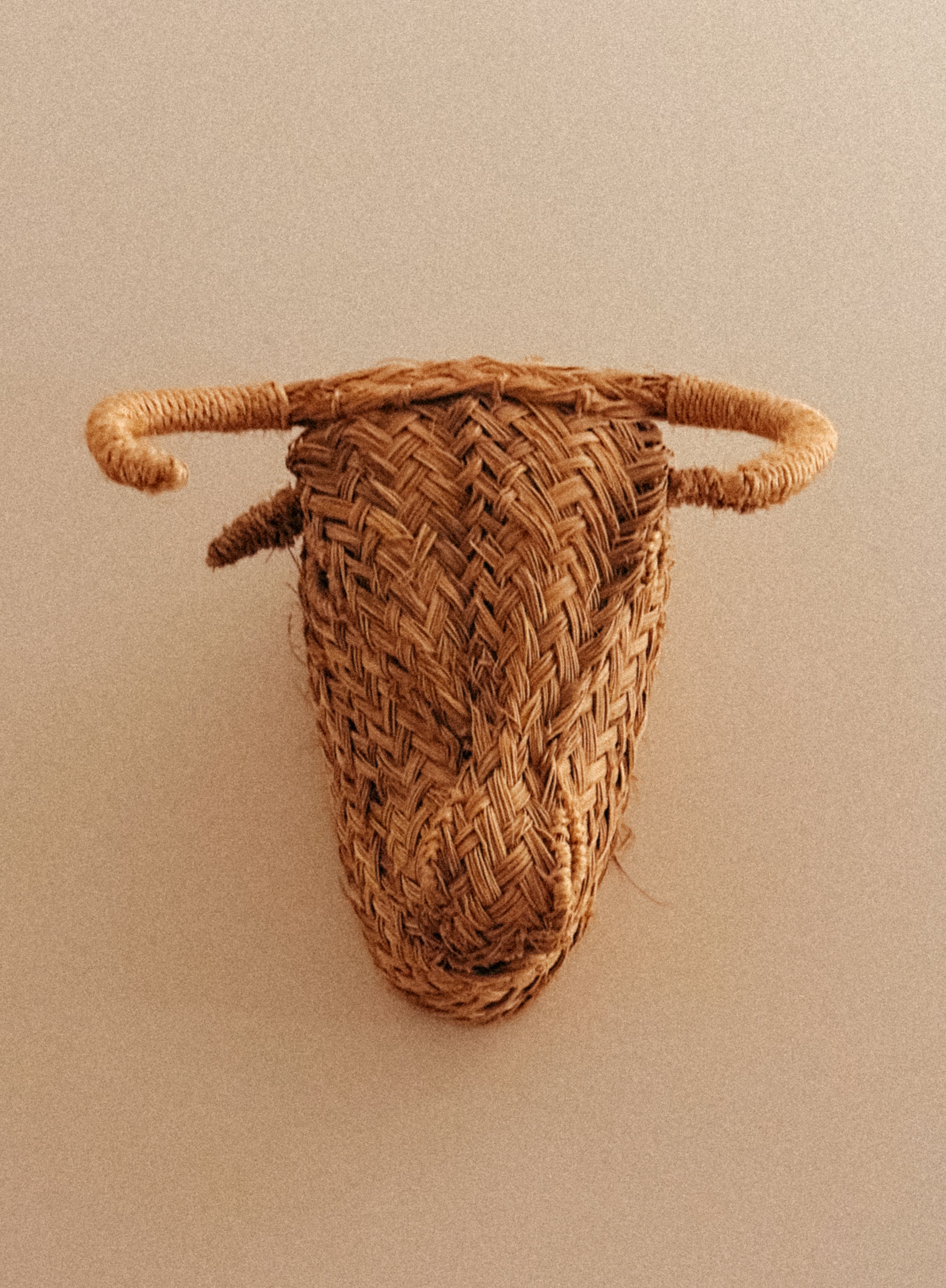 Cabeça de Touro em verga