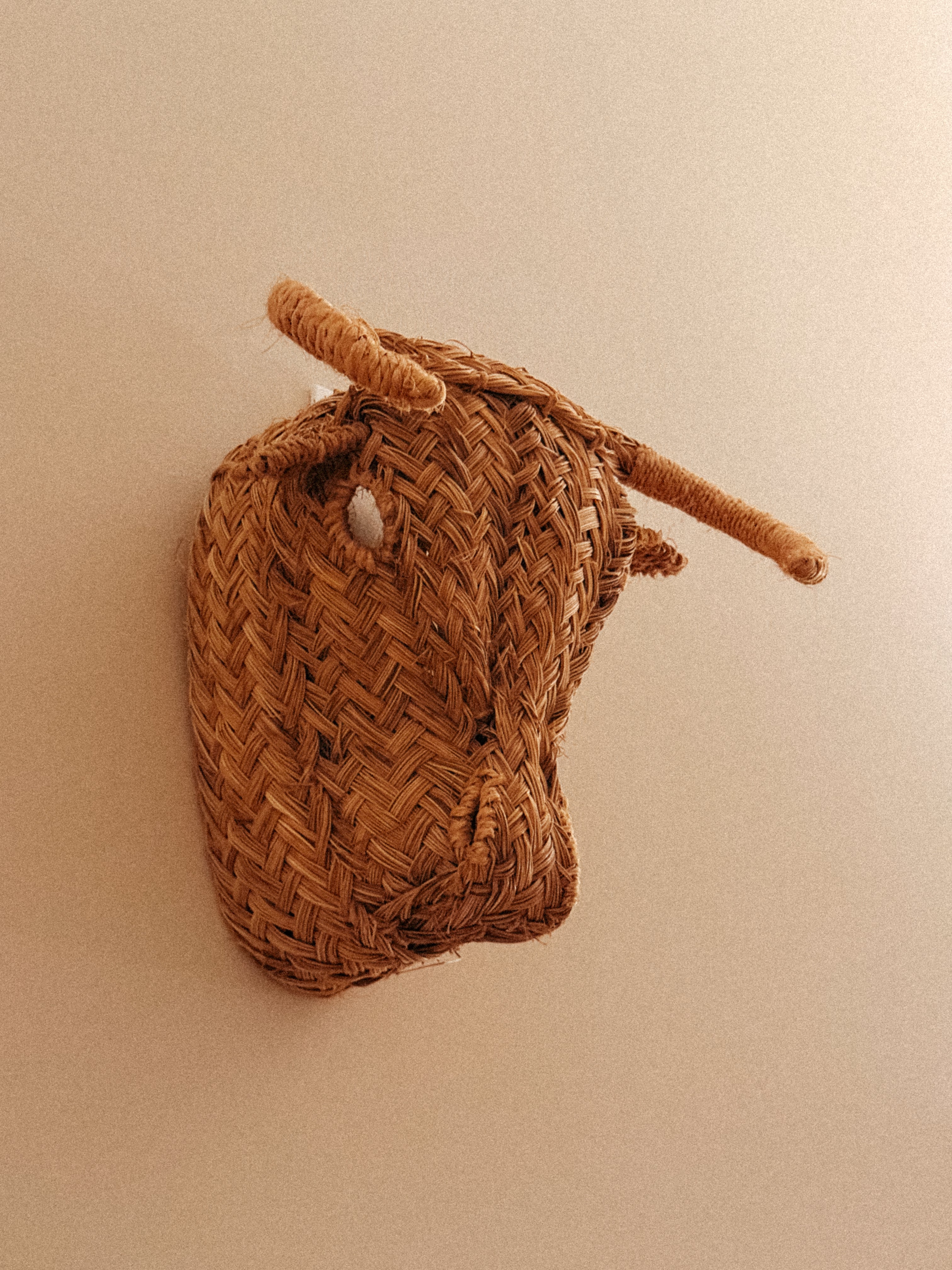 Cabeça de Touro em verga