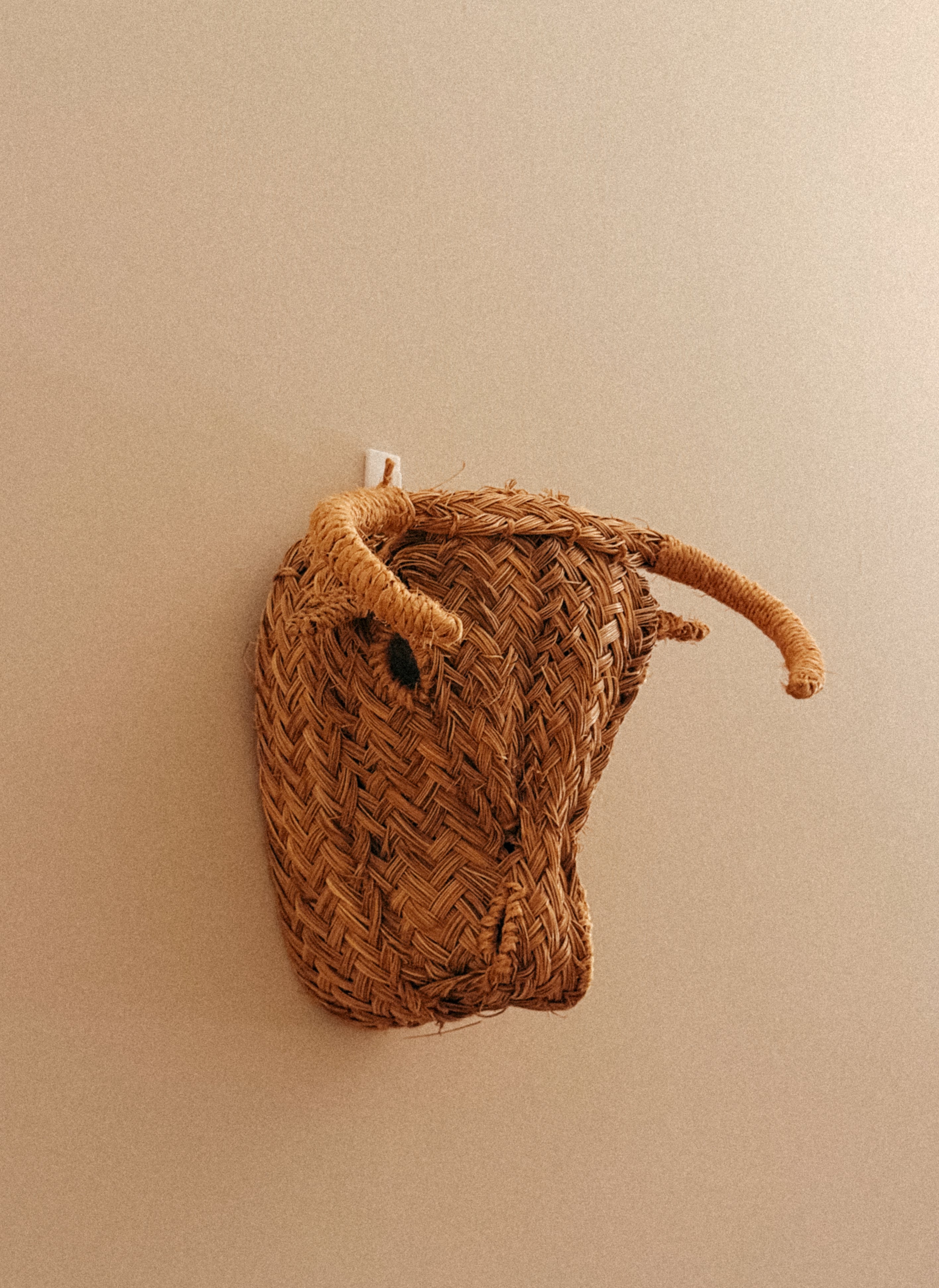 Cabeça de Touro em verga